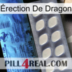 Érection De Dragon 34